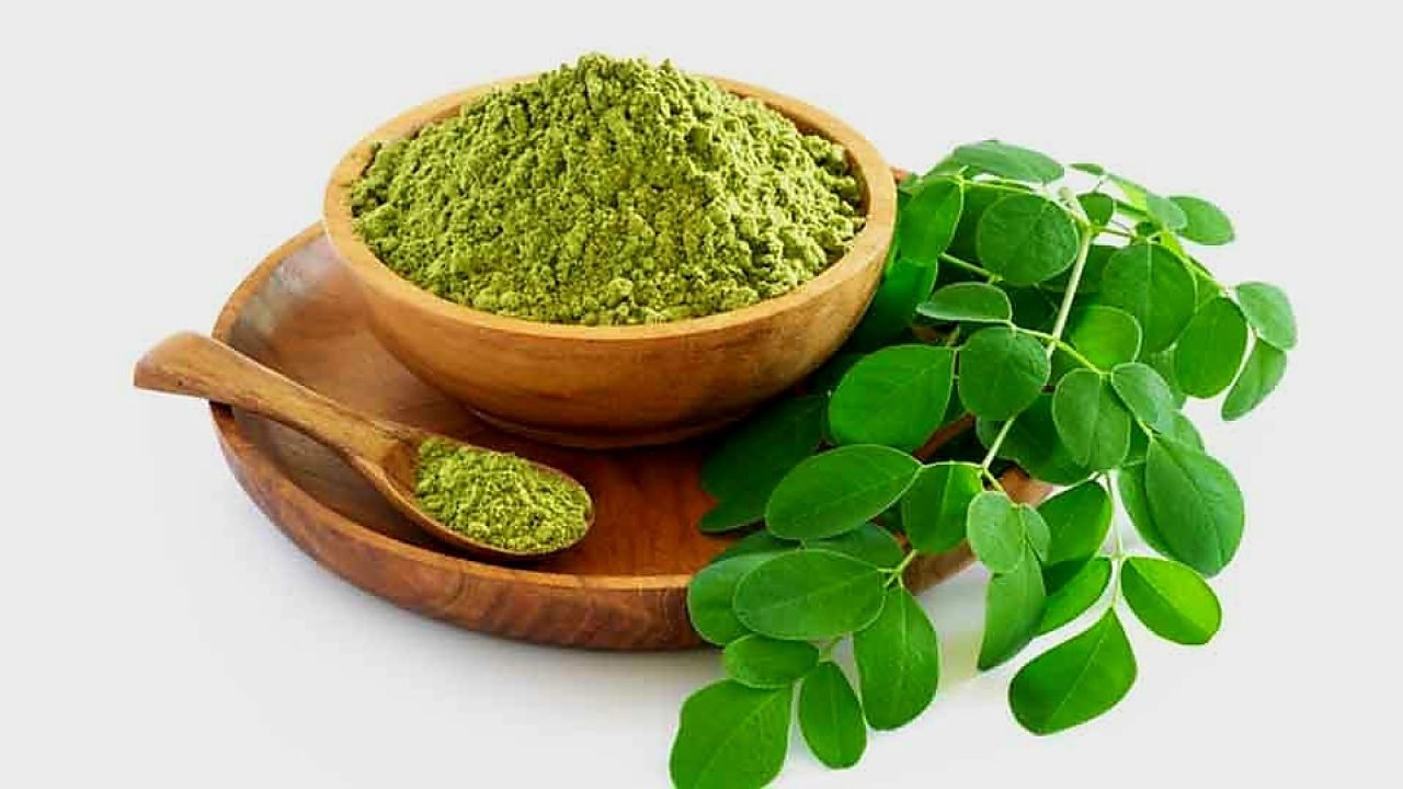  ছোট্ট পাতায় লুকিয়ে থাকা অসাধারণ শক্তি