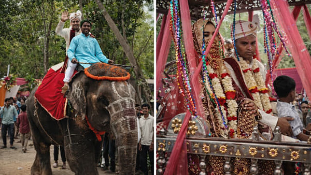হাতির পিঠে বর, ঘোড়ার গাড়িতে বউ: জয়পুরহাটে ব্যতিক্রমী বিয়ে