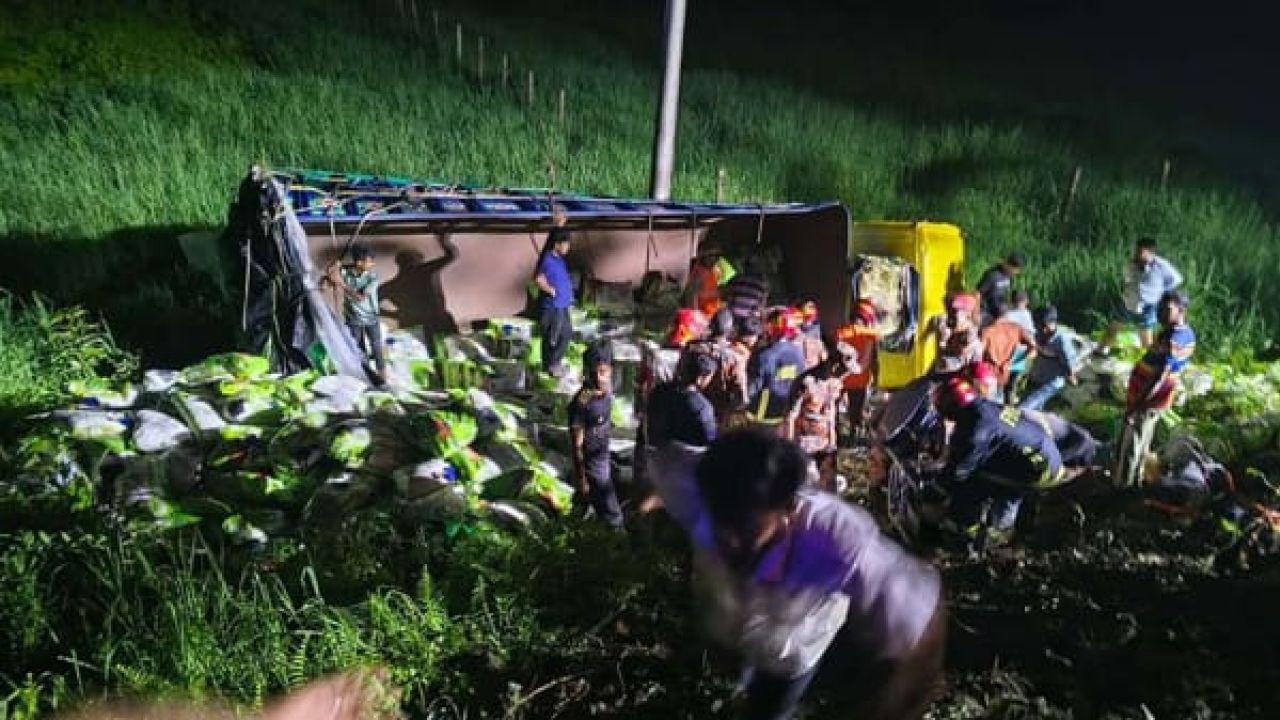 দাউদকান্দিতে ট্রাক খাদে পড়ে দিনাজপুরের ৭ ধানকাটা শ্রমিক নিহত