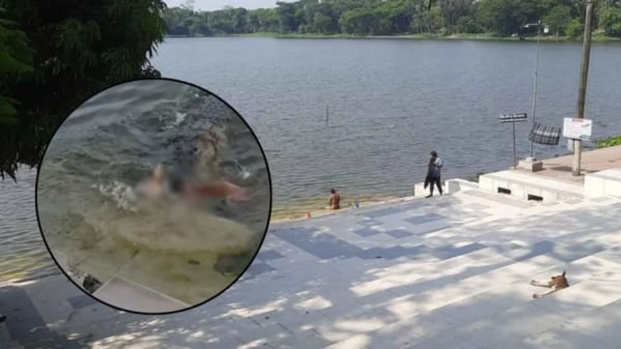 কুমিরের আক্রমণে মৃত কুকুরটির ছিলজলাতঙ্কে আক্রান্ত ,ইচ্ছাকৃত কুমিরকে খাওয়ানোর প্রমান নেই