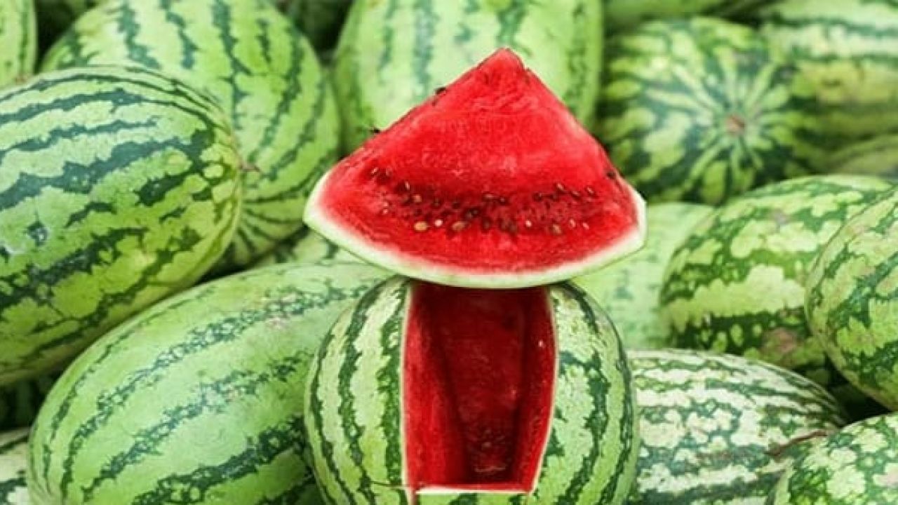 লাইফস্টাইল: তরমুজ কেনার ৭ কার্যকরী টিপস