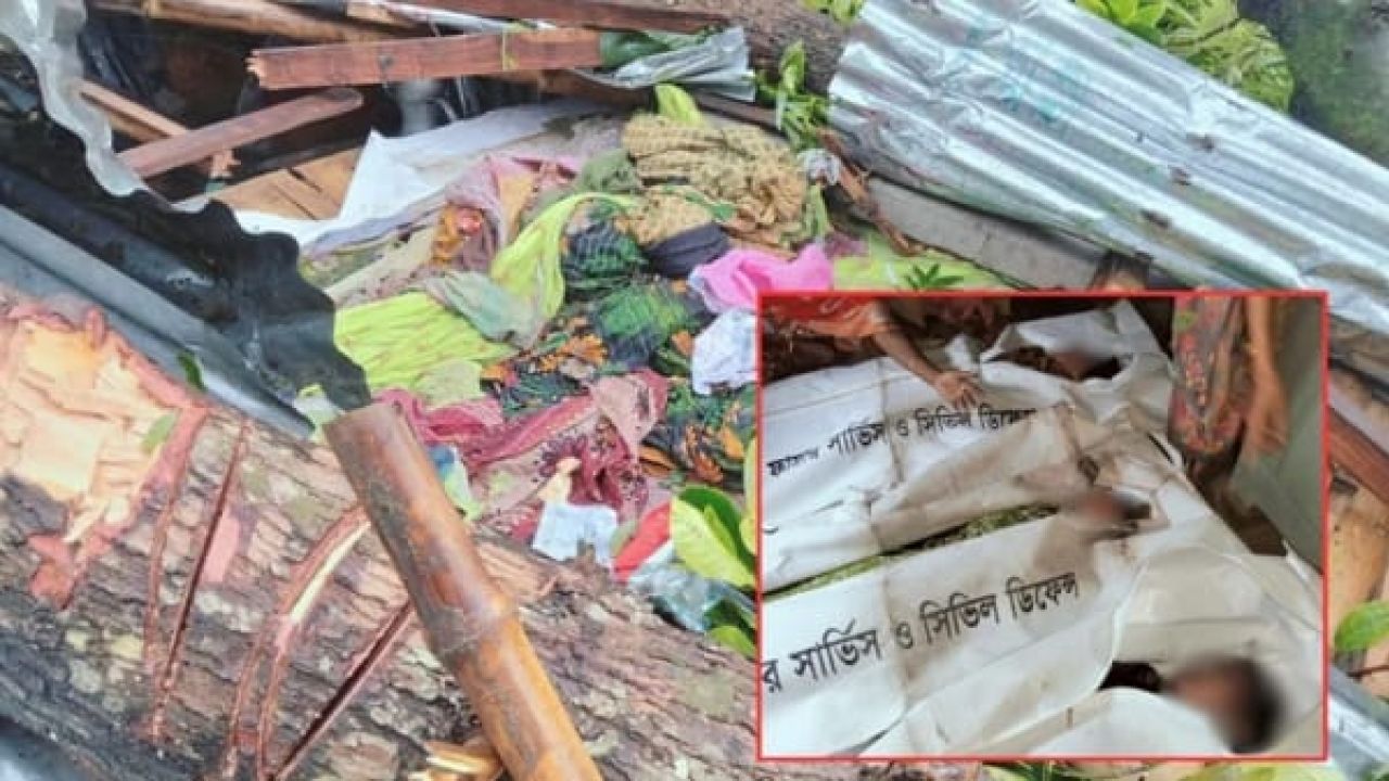 জামালপুরে বসতঘরে গাছ ভেঙে মা ও দুই মেয়ের মৃত্যু