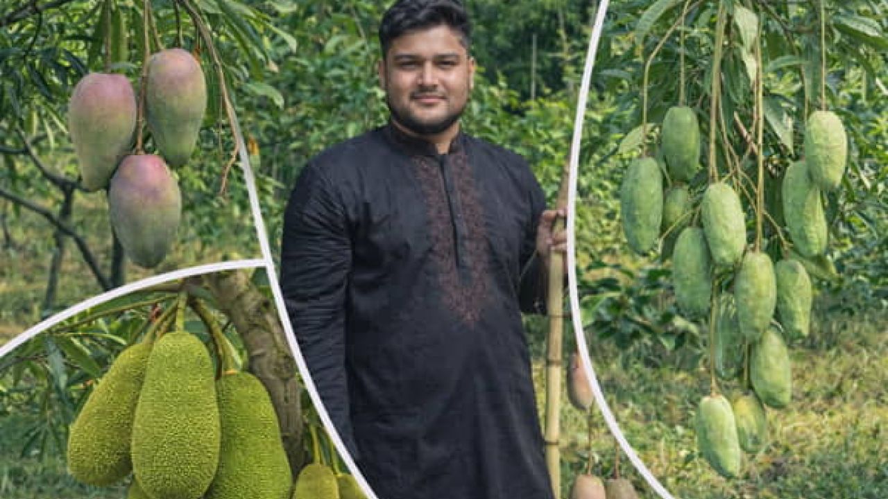 গর্ভের সন্তান ছেলে না মেয়ে প্রকাশ করা যাবে নাঃ হাইকোর্টের ঐতিহাসিক রায়