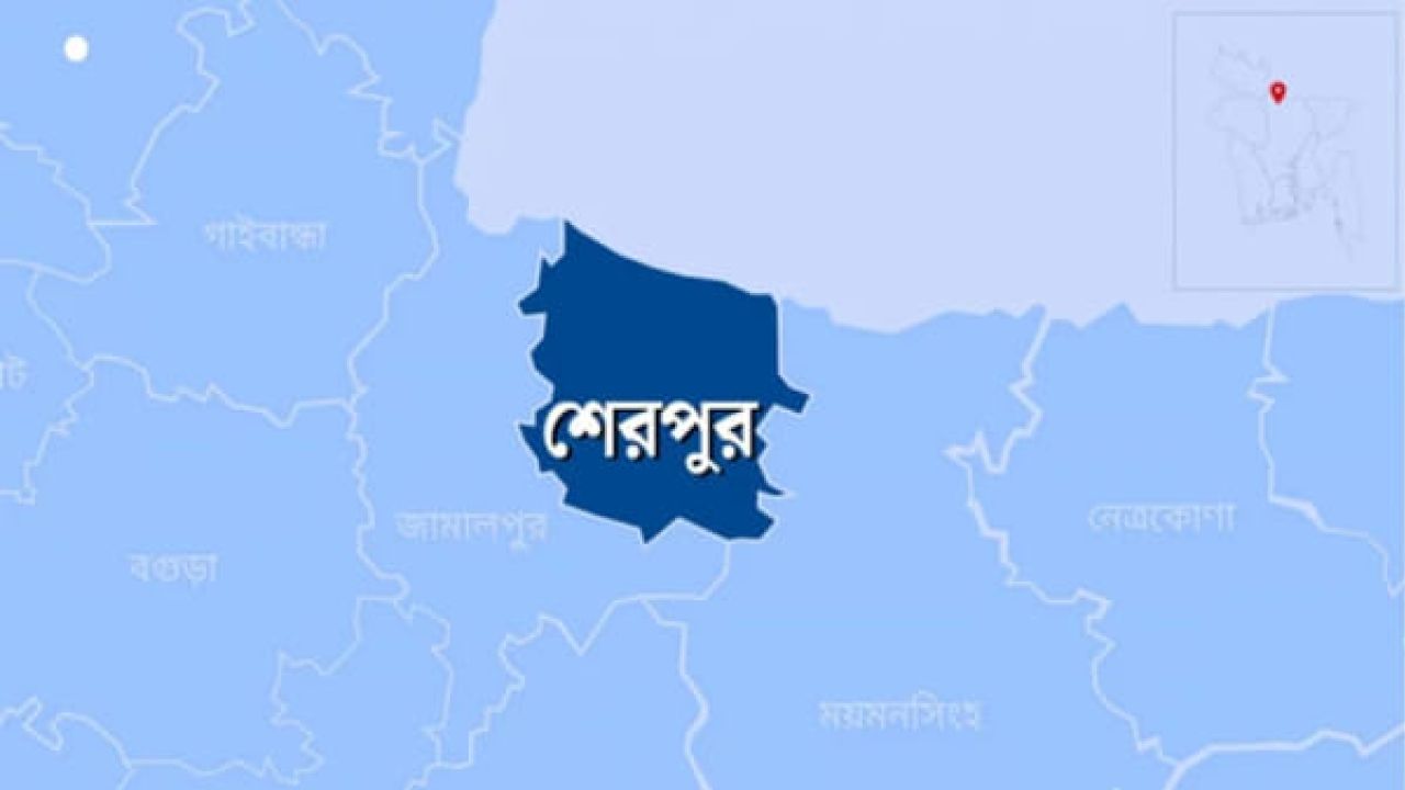 শেরপুরে ১২ বছরের শিশুকে ধর্ষণ ও গর্ভপাতের অভিযোগ, এক আসামি গ্রেপ্তার