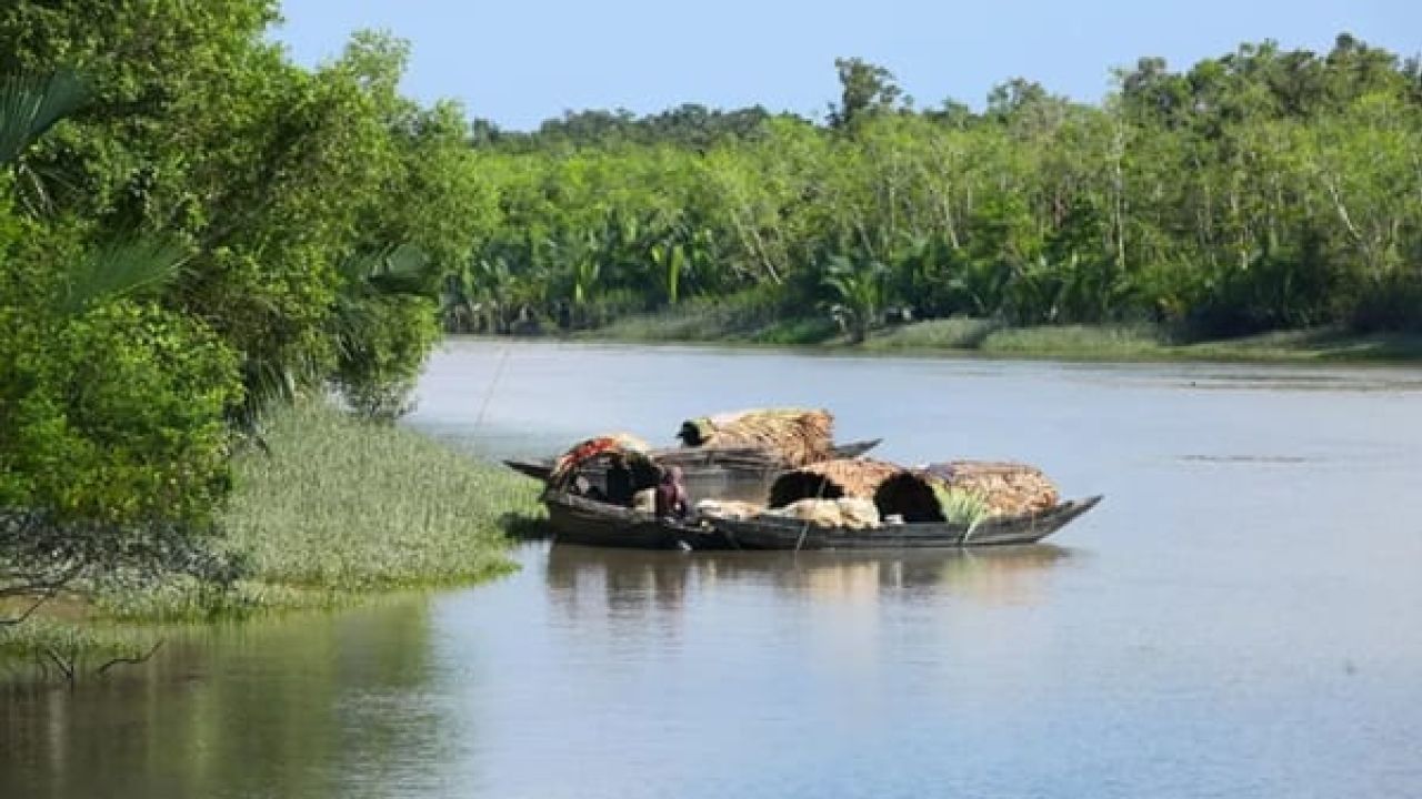 সুন্দরবনে তিন মাস প্রবেশ নিষিদ্ধ